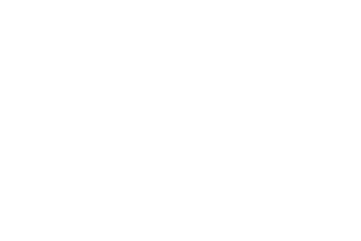 Port City Professionals Logo